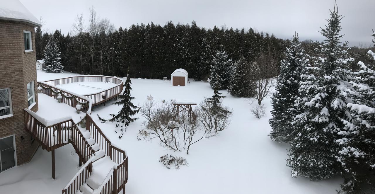 Molly'S Retreat B And B Orangeville Exteriér fotografie